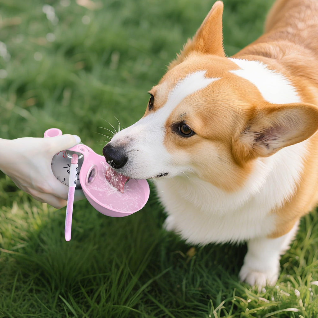 Dog drinking from the Bowl & Bark flip-out silicone bowl