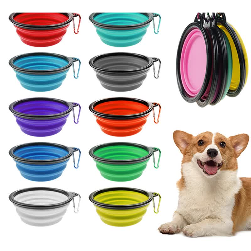 The Complete Walk Kit — Bowl & Bark