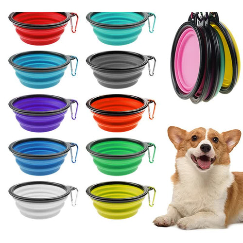 The Complete Walk Kit — Bowl & Bark